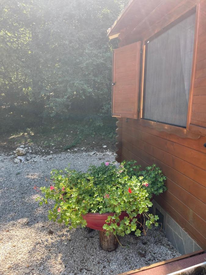 Carpe Diem Retafani Roger'S House Altipiani di Arcinazzo Εξωτερικό φωτογραφία