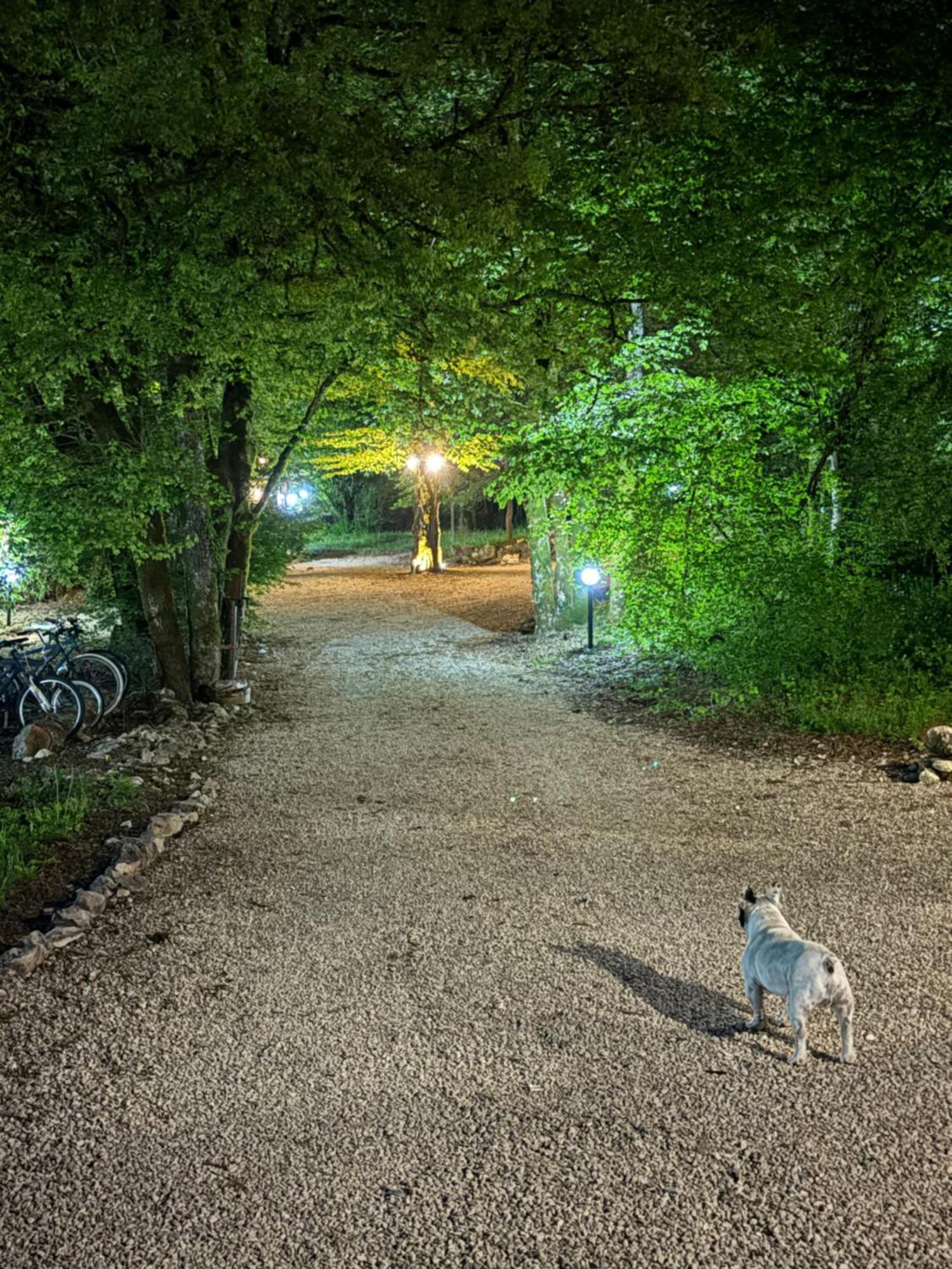 Carpe Diem Retafani Roger'S House Altipiani di Arcinazzo Εξωτερικό φωτογραφία